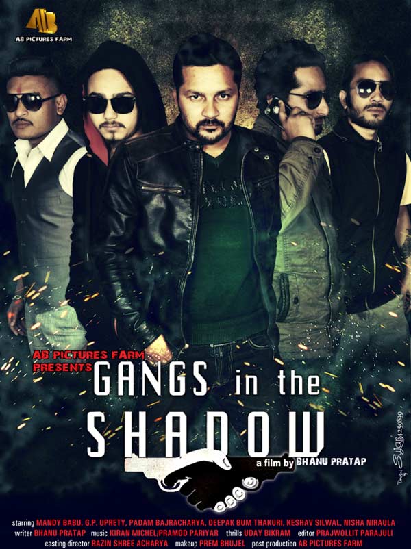Gangs-in-shadow
